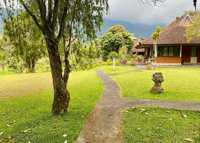 The Buyan *